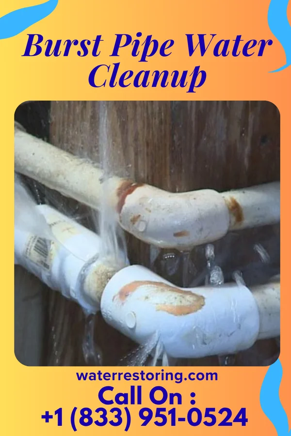 Burst Pipe Water Cleanup in White Horse, NJ