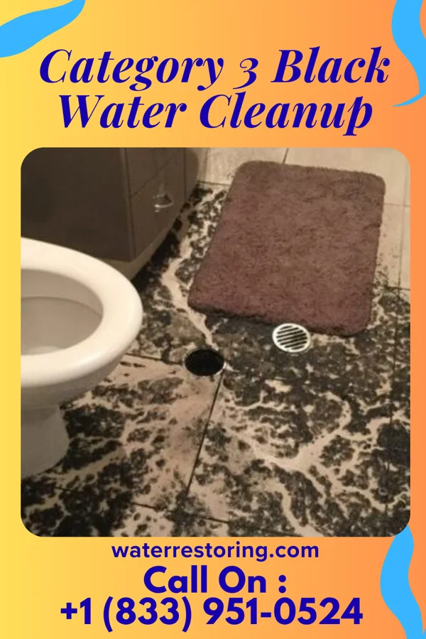 Category 3 Black Water Cleanup in White Horse, NJ