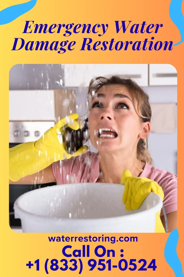 Emergency Water Damage Restoration in White Horse, NJ