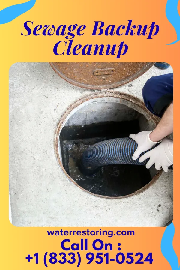 Sewage Backup Cleanup in White Horse, NJ