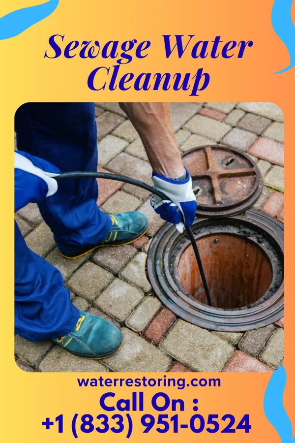 Sewage Water Cleanup in White Horse, NJ
